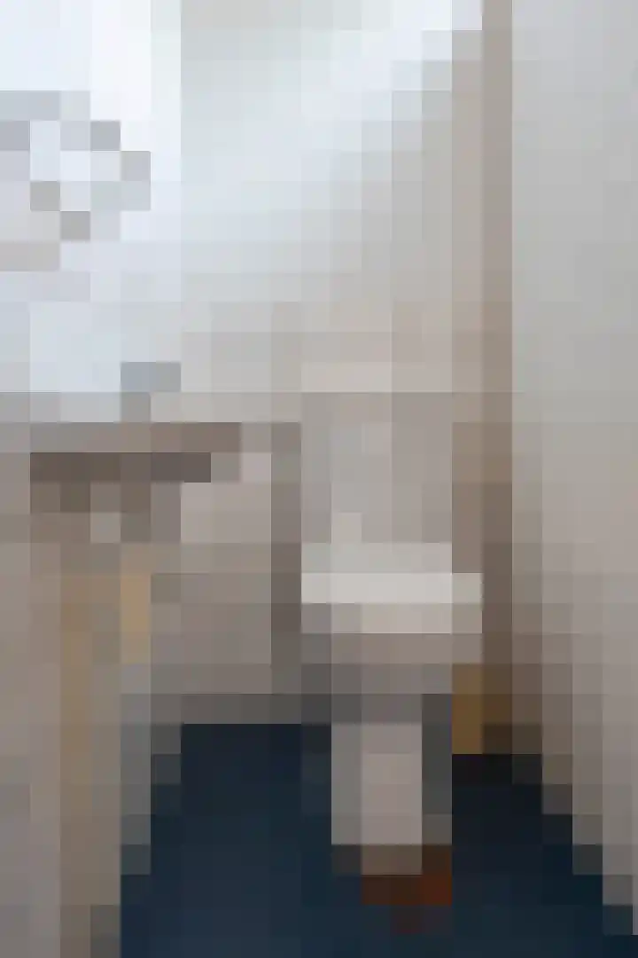Laan van de Iemenhees 350 Emmen thumbnail 10
