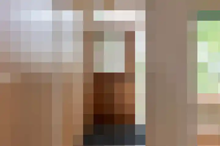 Laan van de Iemenhees 350 Emmen thumbnail 11