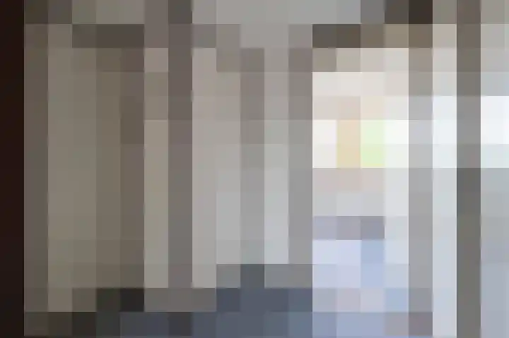 Laan van de Iemenhees 350 Emmen thumbnail 12