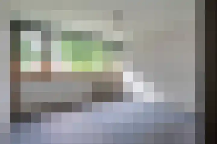 Laan van de Iemenhees 350 Emmen thumbnail 13