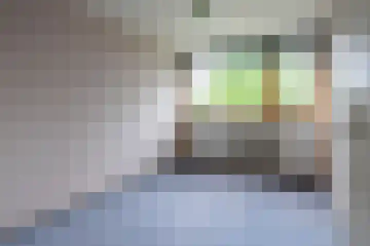 Laan van de Iemenhees 350 Emmen thumbnail 14