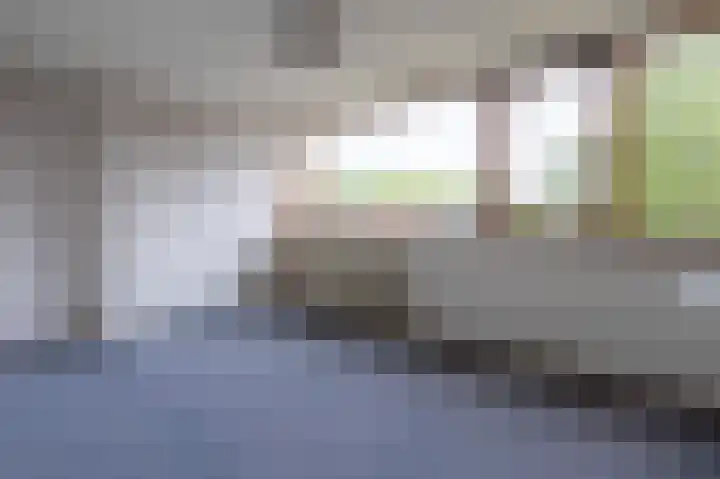 Laan van de Iemenhees 350 Emmen thumbnail 15