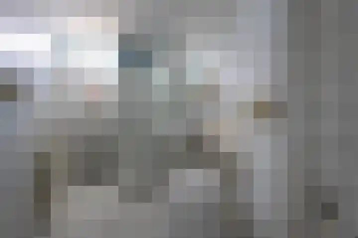 Laan van de Iemenhees 350 Emmen thumbnail 17