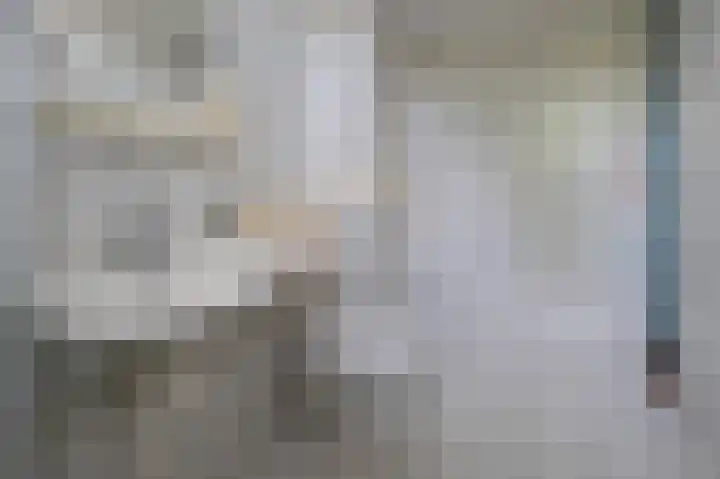 Laan van de Iemenhees 350 Emmen thumbnail 18