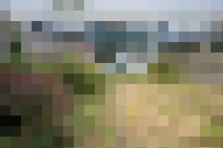 Laan van de Iemenhees 350 Emmen thumbnail 20