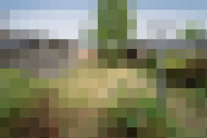 Laan van de Iemenhees 350 Emmen thumbnail 21
