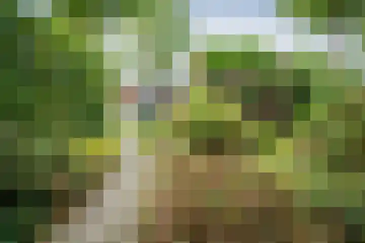 Laan van de Iemenhees 350 Emmen thumbnail 22