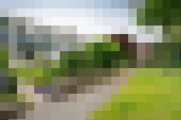 Laan van de Iemenhees 350 Emmen thumbnail 23