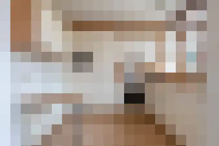 Laan van de Iemenhees 350 Emmen thumbnail 4