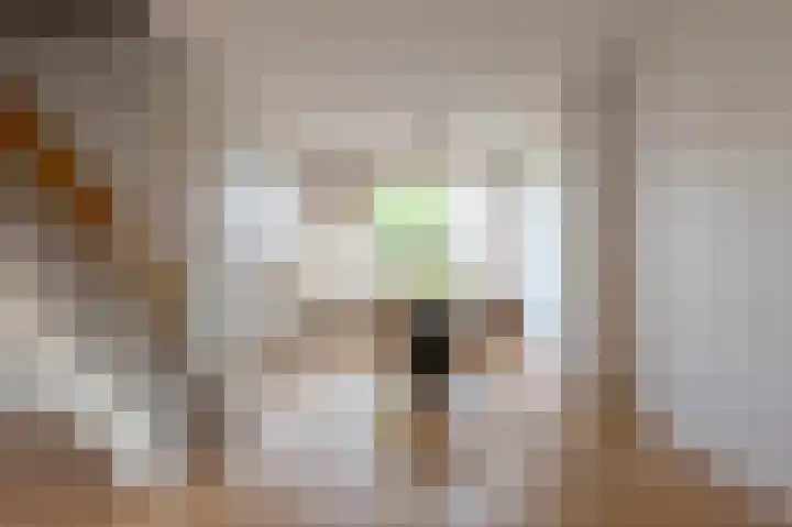 Laan van de Iemenhees 350 Emmen thumbnail 6