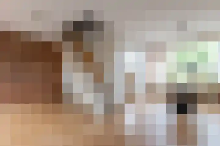 Laan van de Iemenhees 350 Emmen thumbnail 9