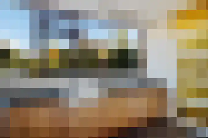 Laan van de Iemenhees 374 Emmen thumbnail 10