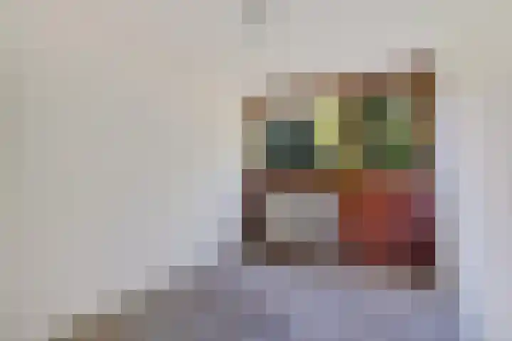Laan van de Iemenhees 374 Emmen thumbnail 16