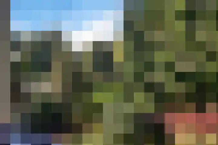 Laan van de Iemenhees 374 Emmen thumbnail 18