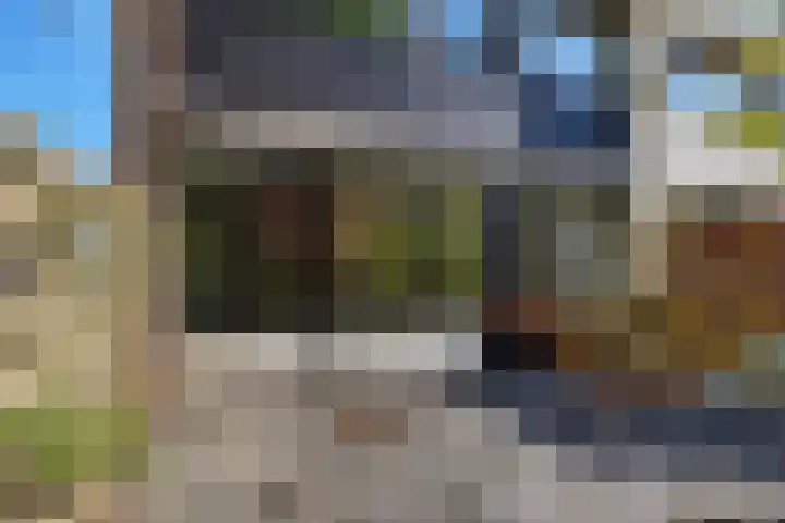 Laan van de Iemenhees 374 Emmen thumbnail 19