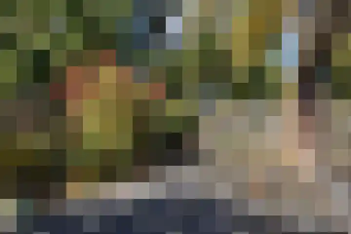 Laan van de Iemenhees 374 Emmen thumbnail 20
