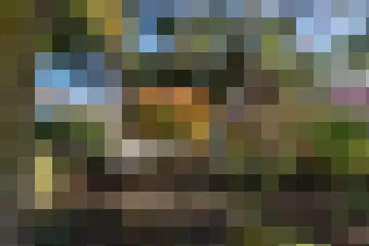 Laan van de Iemenhees 374 Emmen thumbnail 21