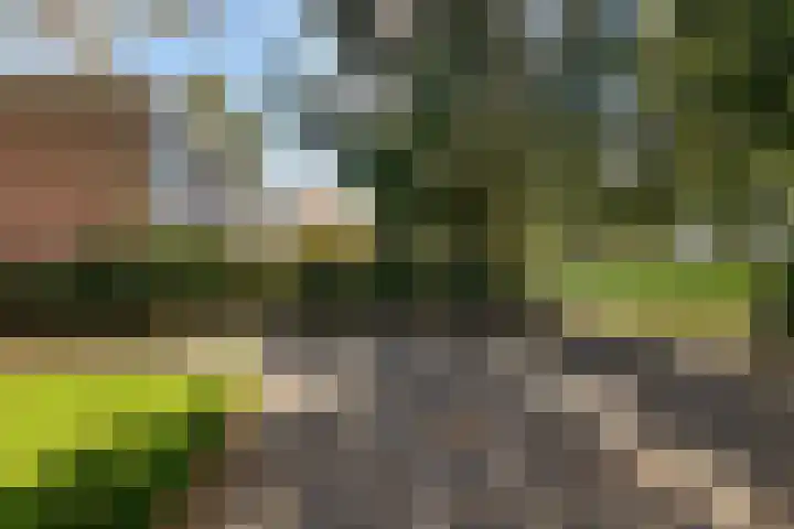 Laan van de Iemenhees 374 Emmen thumbnail 22