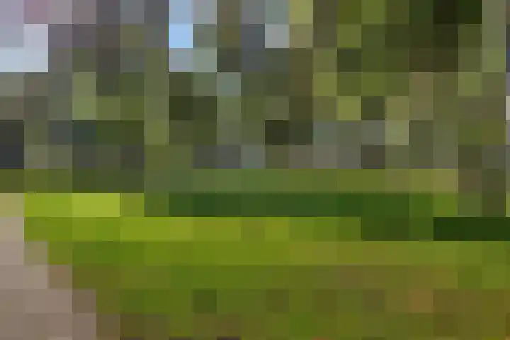 Laan van de Iemenhees 374 Emmen thumbnail 23