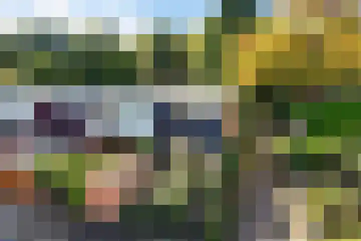 Laan van de Iemenhees 374 Emmen thumbnail 24