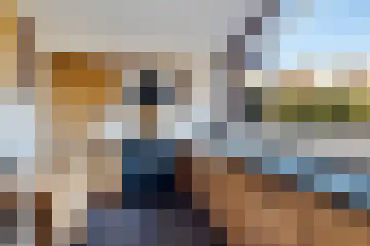 Laan van de Iemenhees 374 Emmen thumbnail 8
