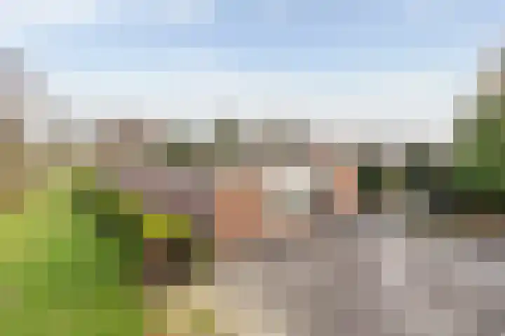 Laan van de Iemenhees 38 Emmen