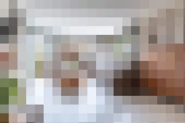 Laan van de Iemenhees 38 Emmen thumbnail 10