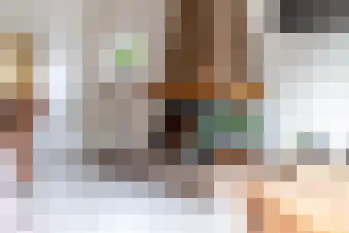 Laan van de Iemenhees 38 Emmen thumbnail 14