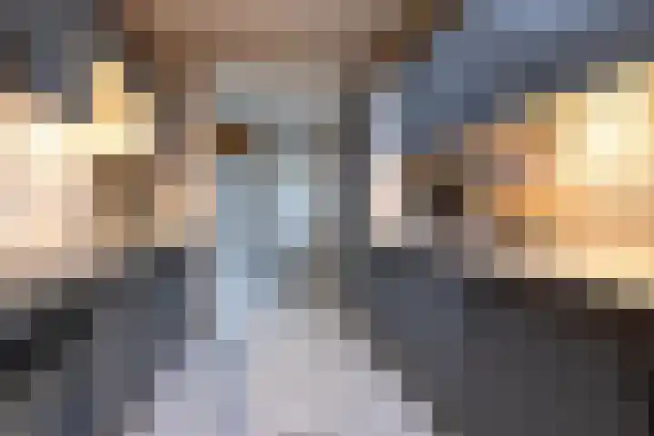 Laan van de Iemenhees 38 Emmen thumbnail 17