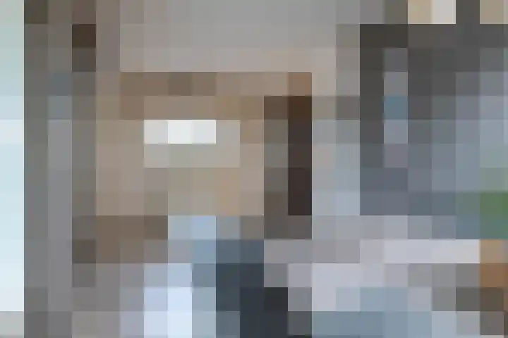 Laan van de Iemenhees 38 Emmen thumbnail 20