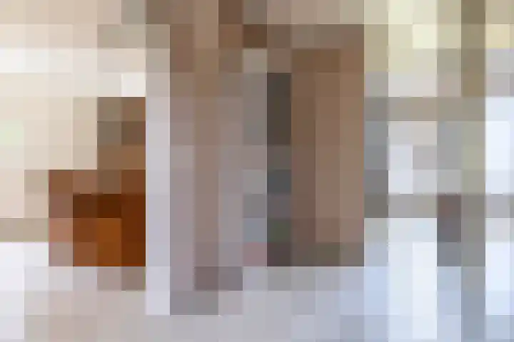 Laan van de Iemenhees 38 Emmen thumbnail 21