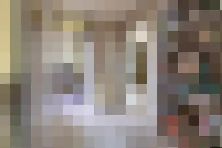 Laan van de Iemenhees 38 Emmen thumbnail 22