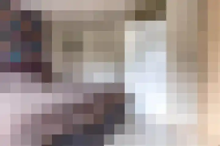 Laan van de Iemenhees 38 Emmen thumbnail 24
