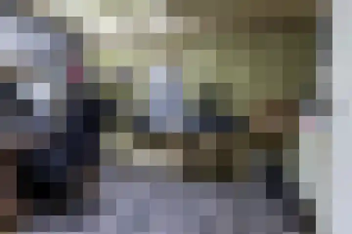 Laan van de Iemenhees 38 Emmen thumbnail 25