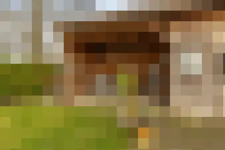 Laan van de Iemenhees 38 Emmen thumbnail 32