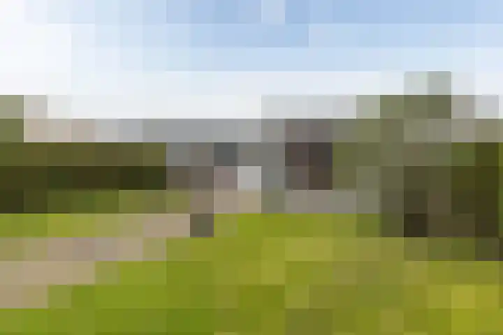 Laan van de Iemenhees 38 Emmen thumbnail 33