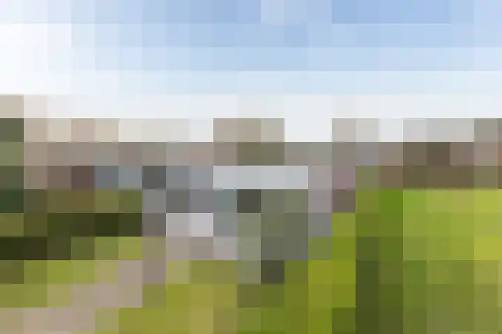 Laan van de Iemenhees 38 Emmen thumbnail 35