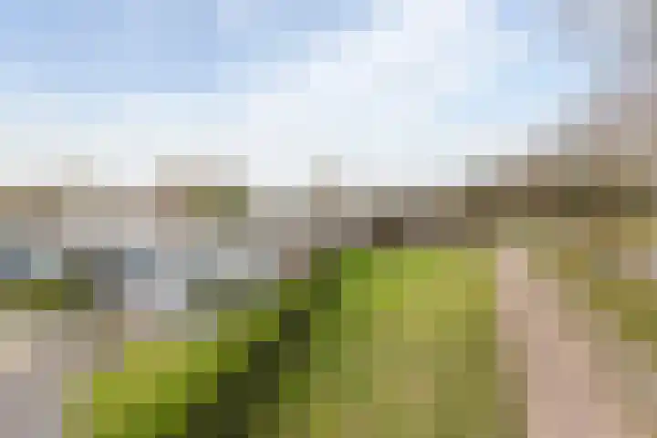 Laan van de Iemenhees 38 Emmen thumbnail 36