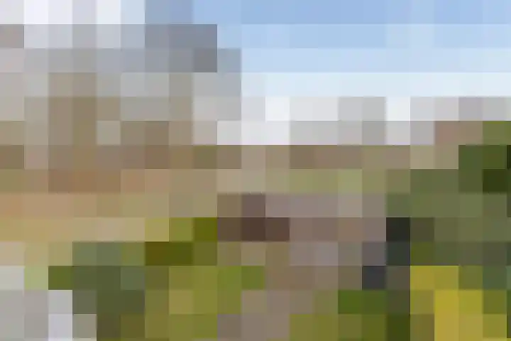 Laan van de Iemenhees 38 Emmen thumbnail 37