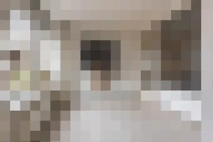 Laan van de Iemenhees 38 Emmen thumbnail 6