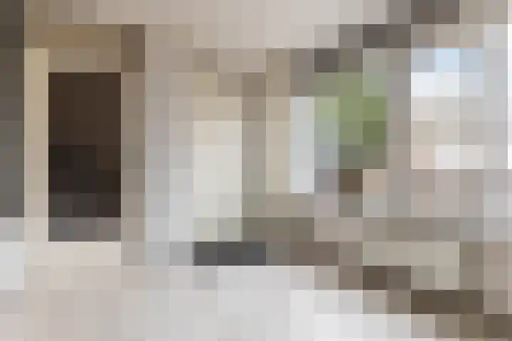 Laan van de Iemenhees 38 Emmen thumbnail 7