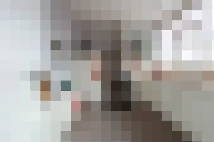 Laan van de Iemenhees 392 Emmen thumbnail 10