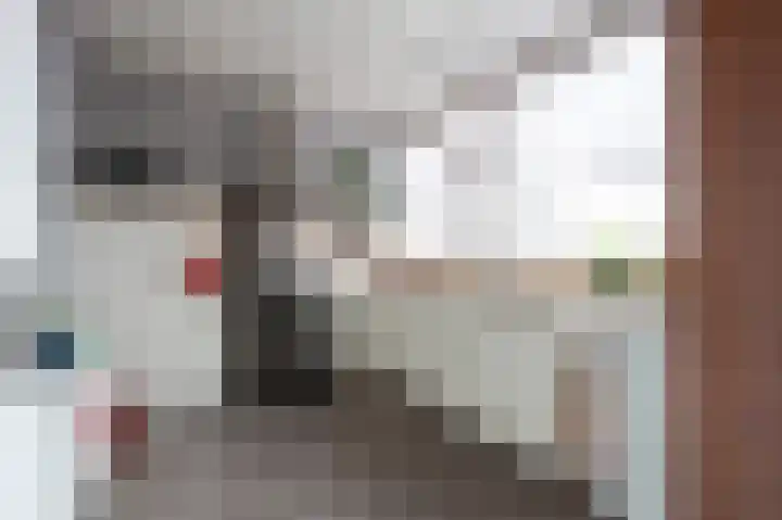 Laan van de Iemenhees 392 Emmen thumbnail 11