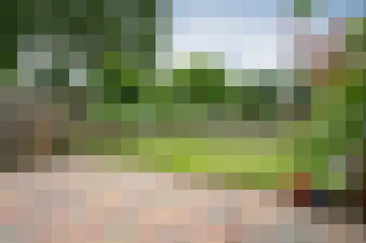 Laan van de Iemenhees 392 Emmen thumbnail 21