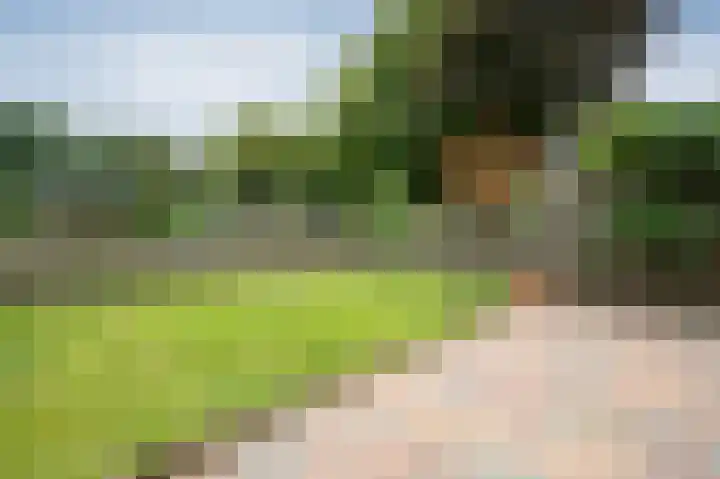 Laan van de Iemenhees 392 Emmen thumbnail 22
