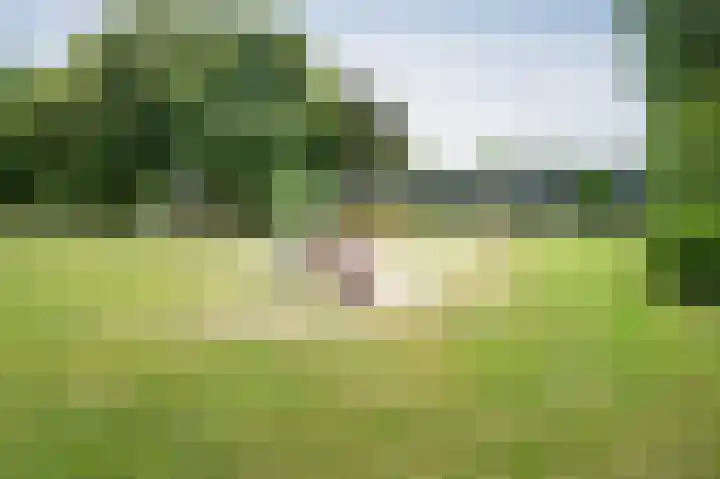Laan van de Iemenhees 392 Emmen thumbnail 27