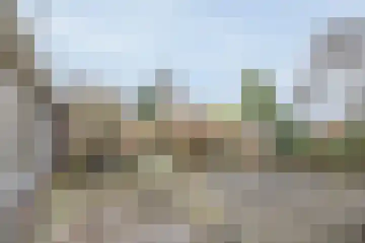 Laan van de Iemenhees 44 Emmen thumbnail 15