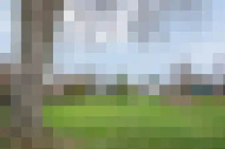 Laan van de Iemenhees 44 Emmen thumbnail 17