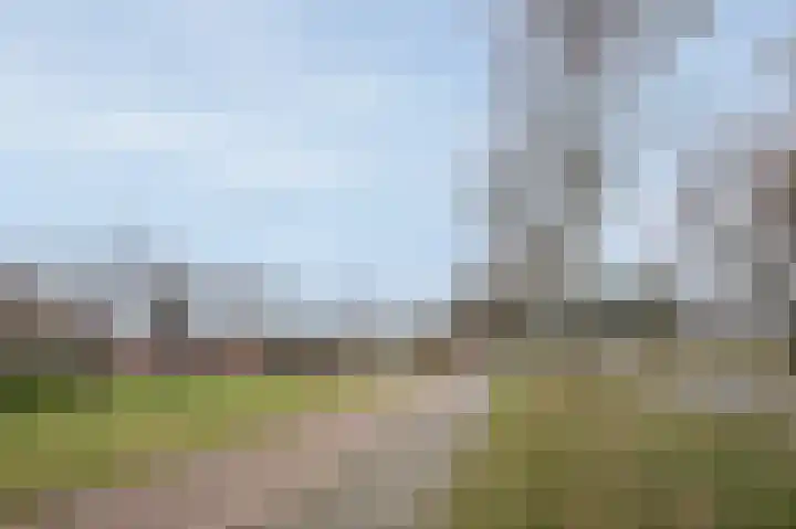 Laan van de Iemenhees 44 Emmen thumbnail 19