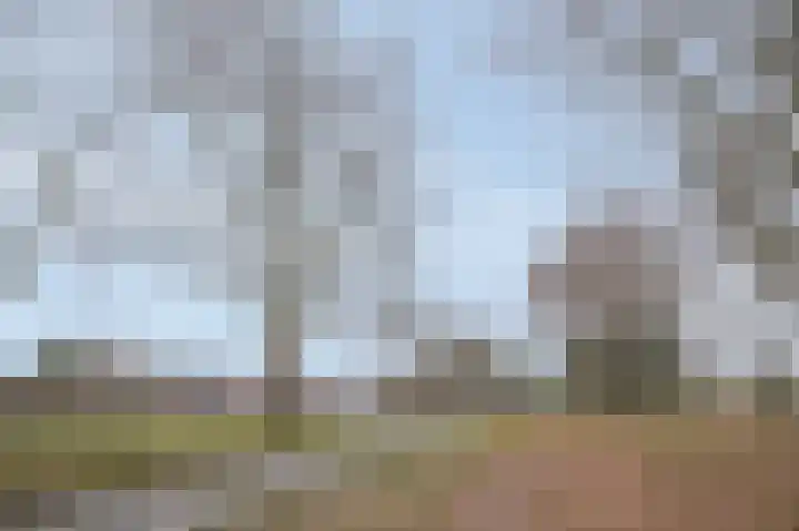 Laan van de Iemenhees 44 Emmen thumbnail 20